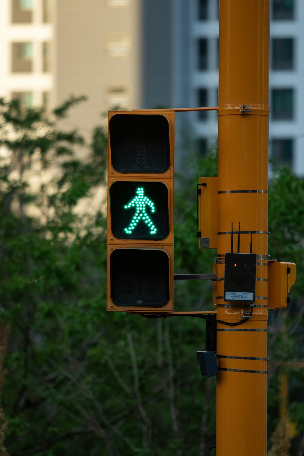 Pedestrian Signals